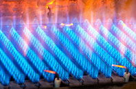 Athelhampton gas fired boilers